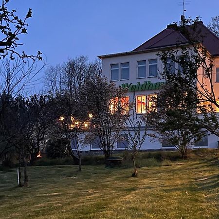 Отель Waldhaus Пульсниц Экстерьер фото
